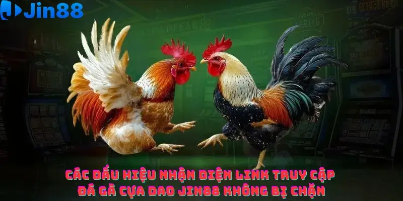 Các dấu hiệu nhận diện link truy cập Đá gà cựa dao Jin88 không bị chặn