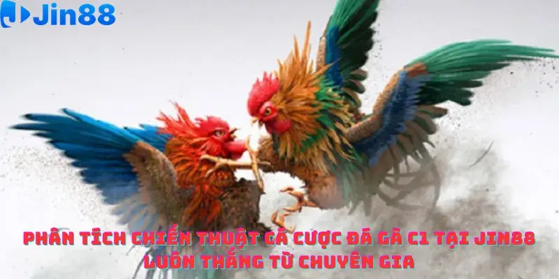 Phân tích Chiến thuật cá cược Đá gà C1 Jin88 Luôn thắng từ Chuyên gia