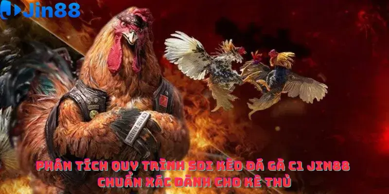 Phân tích quy trình soi kèo Đá gà C1 Jin88 chuẩn xác dành cho kê thủ