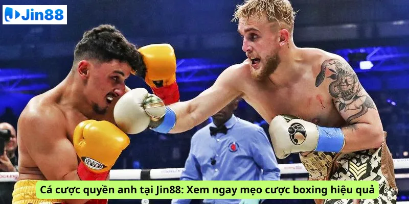 Cá cược quyền anh tại Jin88: Xem ngay mẹo cược boxing hiệu quả