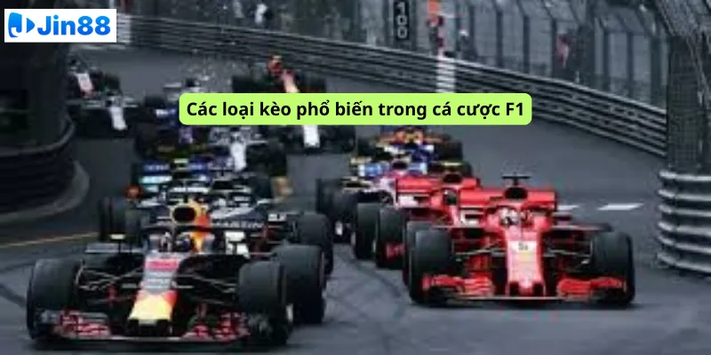 Các loại kèo phổ biến trong cá cược F1