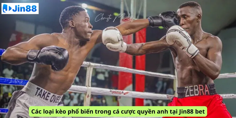 Các loại kèo phổ biến trong cá cược quyền anh tại Jin88 bet