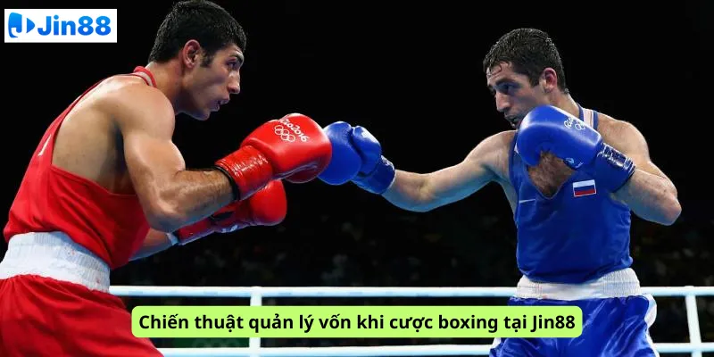 Chiến thuật quản lý vốn khi cược boxing tại Jin88